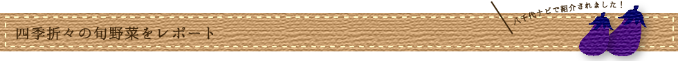 四季折々の旬野菜をレポート