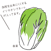 白菜イラスト