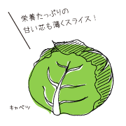 キャベツイラスト