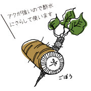 ごぼうイラスト