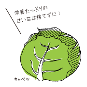 きゃべつイラスト