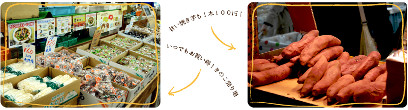 激安きのこ売り場と焼き芋100円