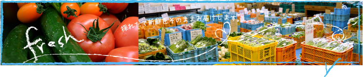 新鮮なままをお届けします