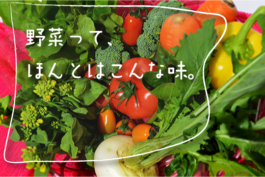 野菜ってほんとはこんな味